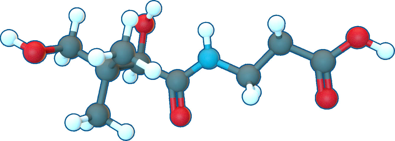 Image of Pantothenic acid vitamin B5 | C9H17NO5 | Supreme Pharmatech